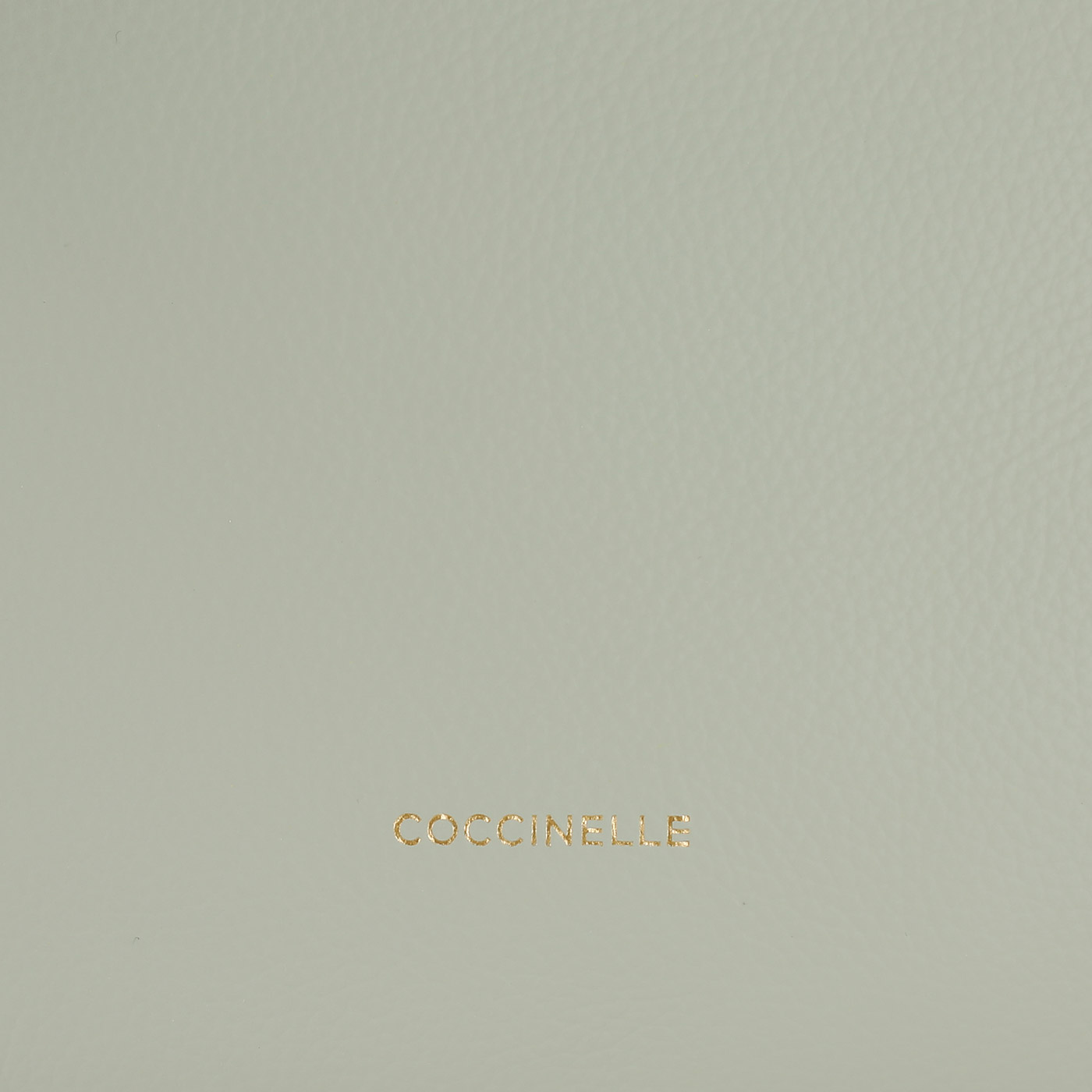 Кожаная сумка Coccinelle Boheme Grana Double